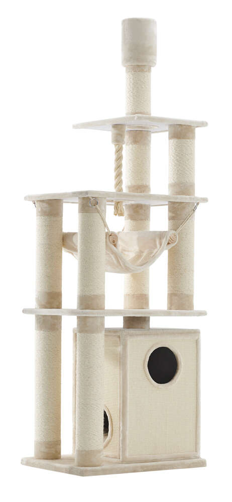 Nobby Deckenkratzbaum Telde